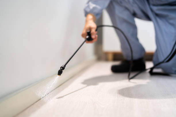 Licensed Pest Control service in Magnolia, NC - Show Me Pest Control