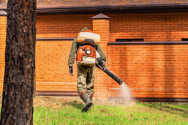 Bed Bug Clearance Verification and Documentation in Magnolia